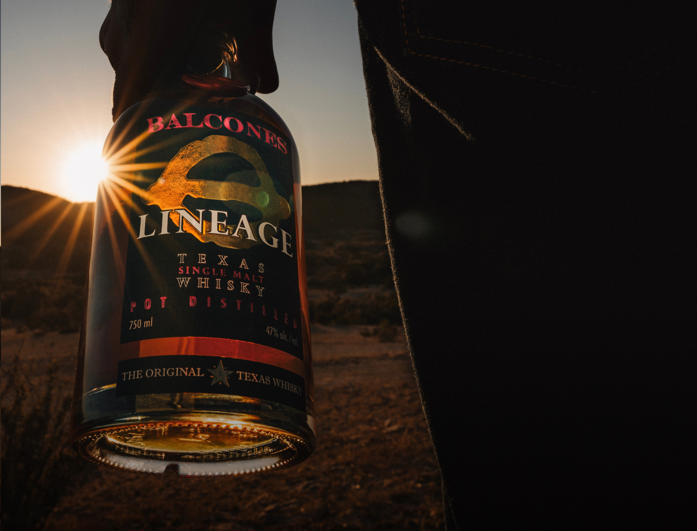 Whisky from a New Perspective